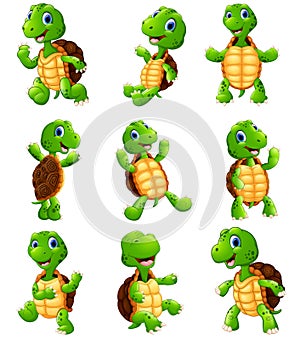 Happy turtle cartoon collection set