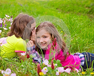 Happy twin sister girls playing whispering ear in meadow