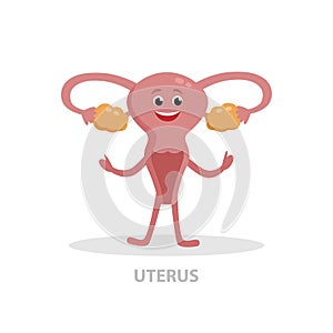 Happy uterus cartoon character vector flat illustration isolated on white background. Good woman health concept icon for