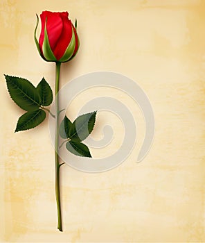 Feliz Día de San Valentín. rosa roja sobre el viejo 