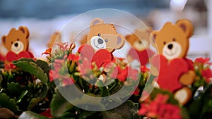 Happy Valentine's Day. close-up. many wooden toys teddy bears, with red felt hearts in flowerpots with