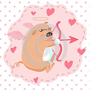 Happy Valentine`s Day with cute pig cupid shoot a bow, Valentines Day background with angel piggy