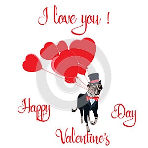 Happy Valentine`s Day greeting card