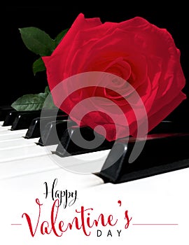 Happy Valentine`s Day Greeting Card Script Font Text with Beautiful Red Rose on Piano Keyboard.