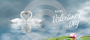 Happy Valentine`s Day with  swans in love who with their necks form a he