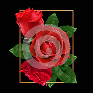 Happy Valentines Day. Greeting card with realistic of red rose, Typography design for print cards, banner, poster. Vector Eps.10