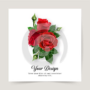 Happy Valentines Day. Greeting card with realistic of red rose, Typography design for print cards, banner, poster. Vector Eps.10