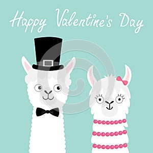 Happy Valentines Day. Llama alpaca animal set. Love couple. Girl Boy. Black hat, bow. Face neck. Fluffy hair fur. Cute cartoon