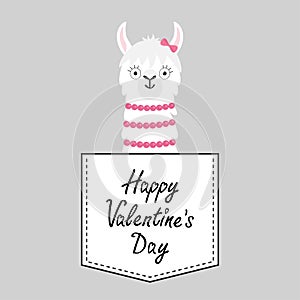 Happy Valentines Day. Llama alpaca face head in the pocket. Pink bow. Cute cartoon animals. Dash line. Kawaii character. White