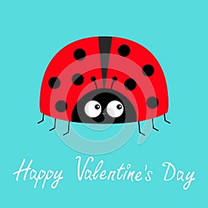 Happy Valentines Day. Red lady bug ladybird icon. Love greeting card. Cute cartoon kawaii funny baby character.Flat design. Blue