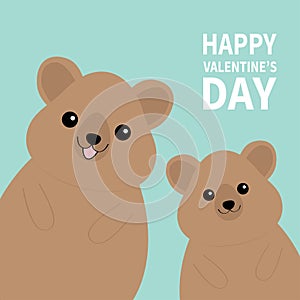Happy Valentines Day. Two quokka head face silhouette family set. Pink blush cheeks. Cute cartoon funny pet baby character. Funny