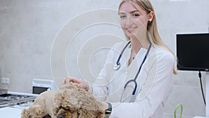 a happy vet girl with a stethoscope strokes a dog and smiles looking at the camera.