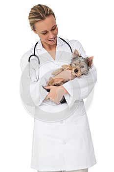 Happy vet holding yorkshire terrier puppy