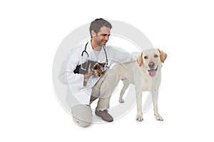 Happy vet posing with yorkshire terrier and yellow labrador