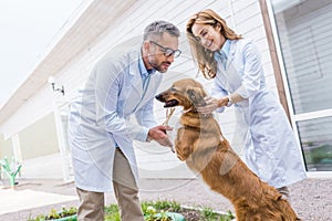 happy veterinarians playing with dog on yard photo