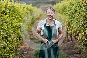 Happy vintner with hands in pockets