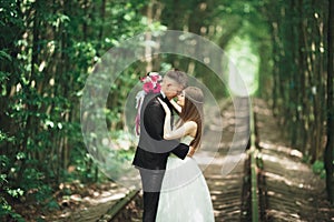 Happy wedding couple charming groom and perfect bride posing in park