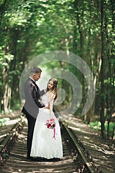 Happy wedding couple charming groom and perfect bride posing in park