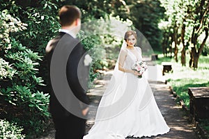 Happy wedding couple charming groom and perfect bride posing in park