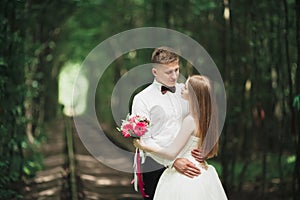 Happy wedding couple charming groom and perfect bride posing in park