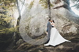 Happy wedding couple kissing and hugging near a high cliff