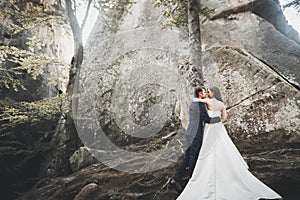 Happy wedding couple kissing and hugging near a high cliff