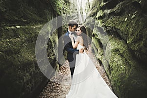 Happy wedding couple kissing and hugging near a high cliff