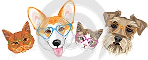 Happy welsh corgi, schnauzer and two cute cats in glasses heart shaped