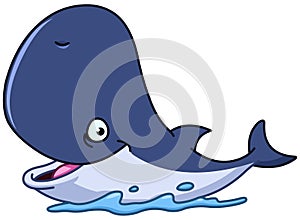 Happy whale