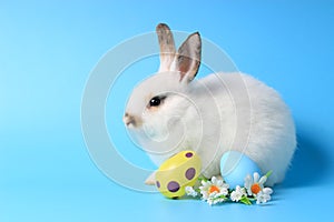 Happy white bunny rabbit with painted Easter egg and daisy flower on blue background. celebrate Easter holiday and spring coming