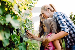 Happy wine grower family walking in vineyard