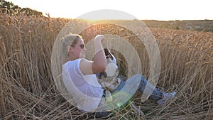 Happy woman with blonde hair holding in hand golden spikelet and playing with her siberian husky at wheat meadow. Young