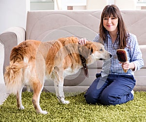 Happy woman dog owner at home with golden retriever