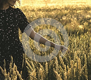 Happy woman enjoying the life in the sunny field. Nature beauty, white clouds and field with golden wheat. Outdoor