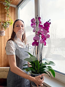 Happy woman gardener with a big blooming orchid in a pot. Pot of flowering orchid plant phalaenopsis in hands. Breeding of orchids