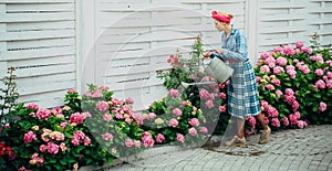Happy woman gardener with flowers. Flower care and watering. soils and fertilizers. Greenhouse flowers. woman care of