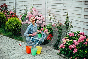 Happy woman gardener with flowers. Greenhouse flowers. Flower care and watering. soils and fertilizers. hydrangea