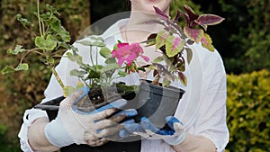 Happy woman gardener holding flowers smiling at camera while working in her garden in spring