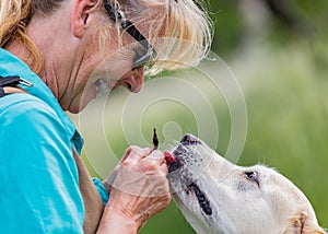 Happy Woman give Treat to Dog