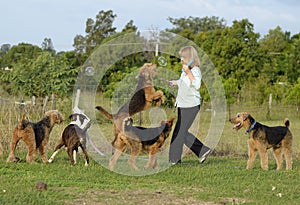 Happy woman having fun playing bubbles with her pet dogs