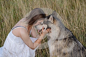 Happy woman hugging and kiss alaskan malamute dog in summer field