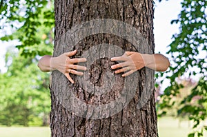 Happy woman hugging a tree in the forest