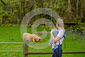 Happy woman looking to an animal while holding and carrying it in a baby carrier photo