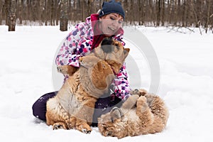 A Happy woman in nature with dogs chow chow in winter