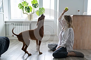 Happy woman owner with her Vizsla dog playing with tennis ball at home, sitting on the floor