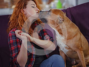 Happy woman petting her merican staffordshire terrier on couch at home in living room