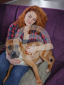Happy woman petting her merican staffordshire terrier on couch at home in living room