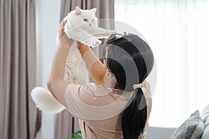 Happy Woman Playing with Cat in Cozy Living Room at Home