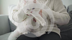 Happy Woman Playing with Cat in Cozy Living Room at Home.