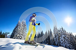 Happy woman posing on skis before skiing. Sunny day at ski resort. Clear blue sky, snow-covered fir trees on background.